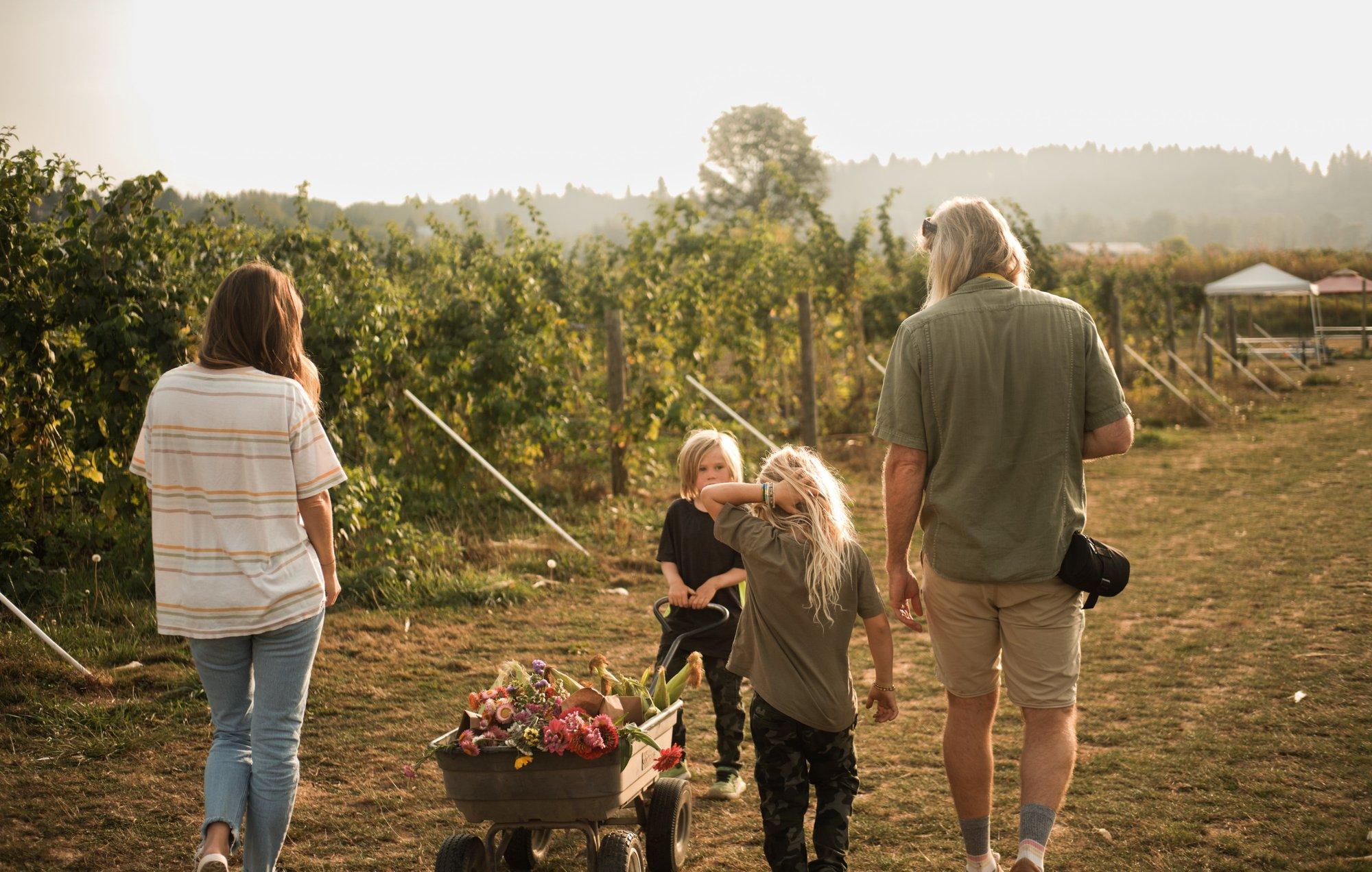 carousel-hero-element image-0